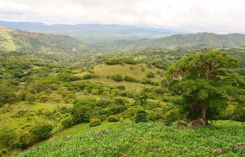 Reserva Natural Miraflor, Estelí Department, Nicaragua